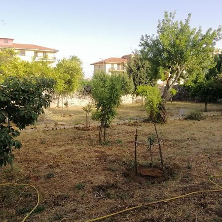 Modica Relax Garden公寓 外观 照片